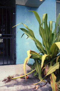 NE 79th St, Miami, FL